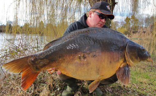 46lb mirror carp in germany for emir caro