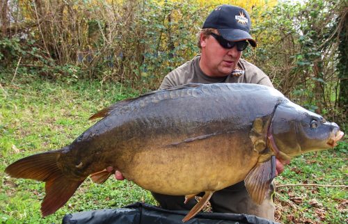 52lb mirror carp tempted the best boilie of complex-t