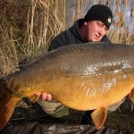 54lb mirror carp landed on complex-T