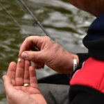 Mini Hookbaits
