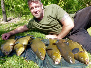 Prolific tench session