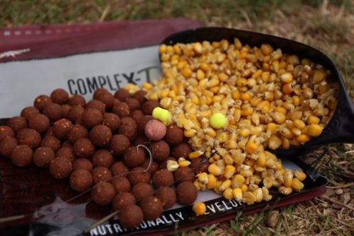 maize and boilies - the prefect combo for carp