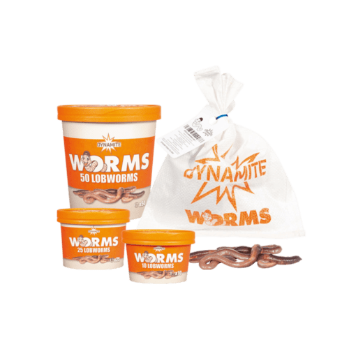 Lobworms