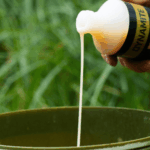 Peppered Fruit Liquid Attractant