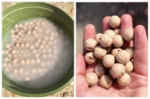 Para conseguir el efecto washed out basta con remojar los boilies durante un breve espacio de tiempo en agua.