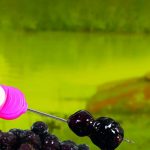 Frenzied Black Tiger Nuts Boosted Hookbaits