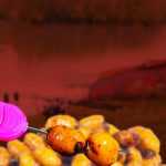 Frenzied Jumbo Tiger Nuts Boosted Hookbaits