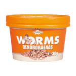 Dendrobaena Worms