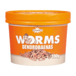 Dendrobaena Worms