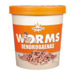 Dendrobaena Worms