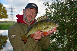 Perch fishing river