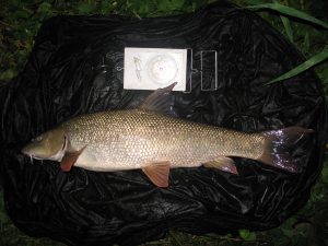 CompleX-T barbel