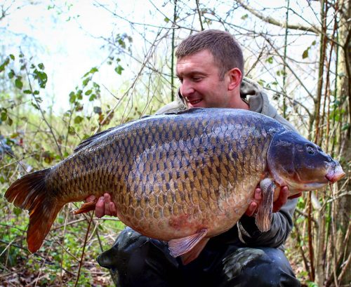 profiling boilies for flavouring carp fishing baits