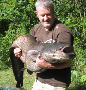 Tony Gibson Catfish