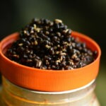 The Source Frenzied Hempseed