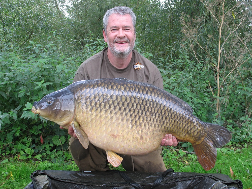 box common tony gibson