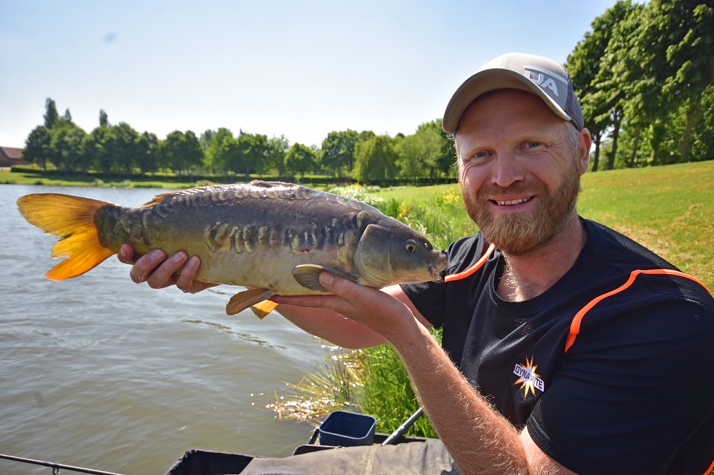 How to use pellets to catch carp