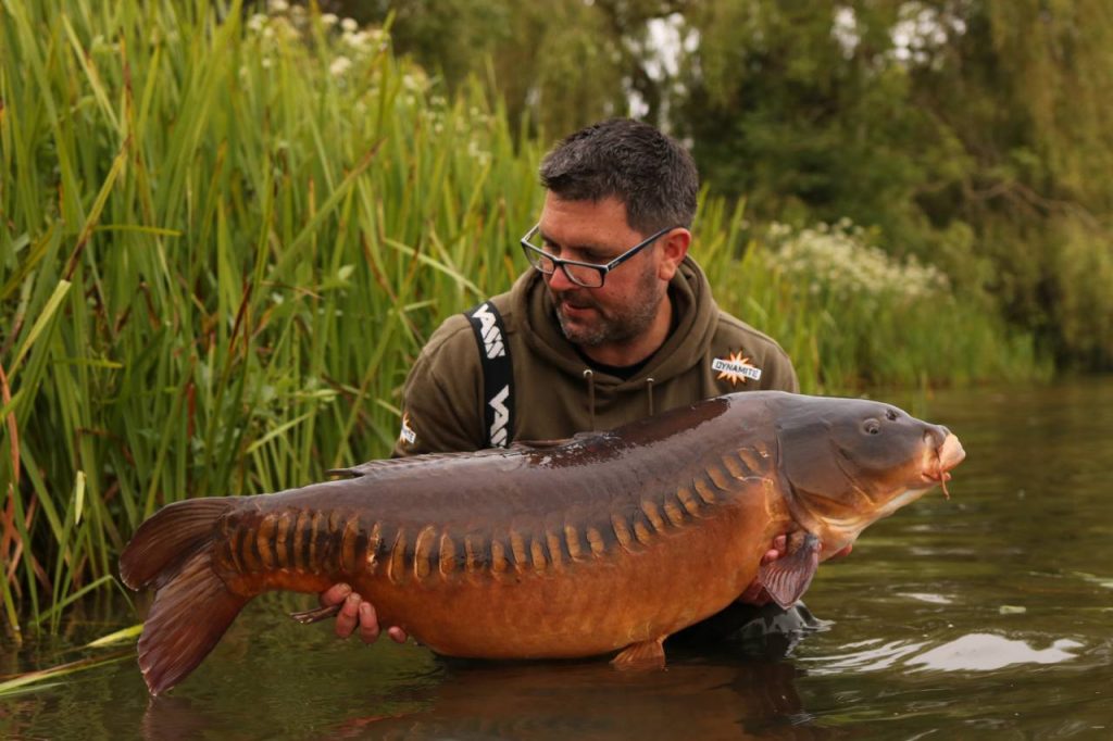 saddleback lin dinton tony kingdon