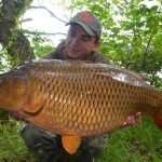 Robin Red Boilies