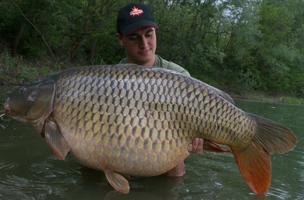 Kristof Cuderman Crave Boilies 9th carp over 50lb