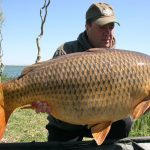 Robin Red Boilies