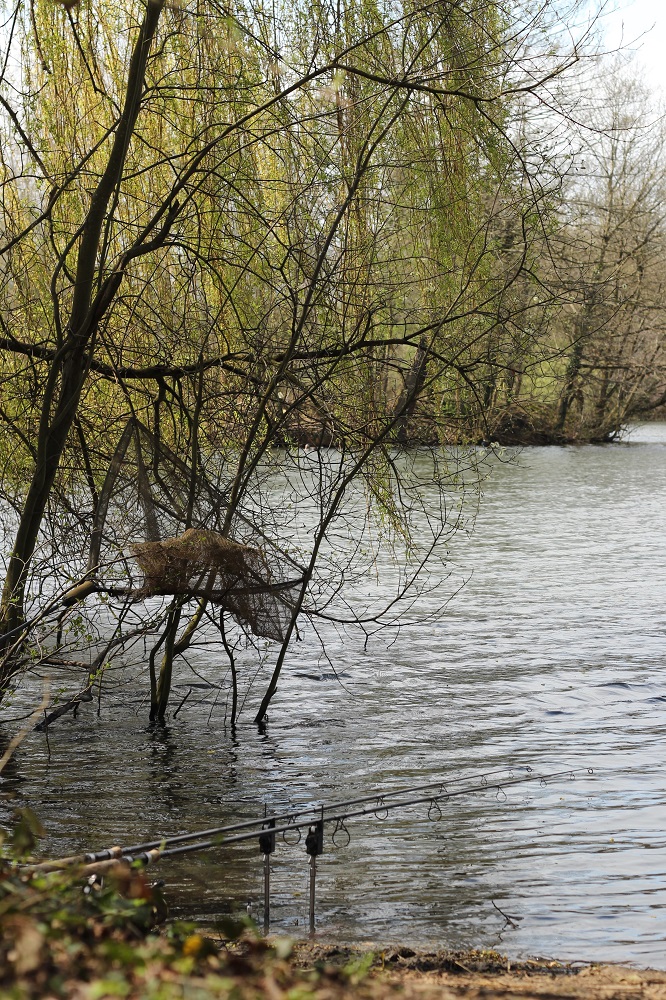 dave williams carp fishing yateley