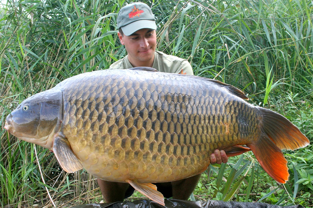 How to Find Carp in a Lake 