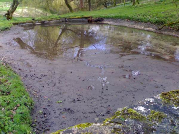 a silty or muddy bottom can be just as good as a gravel area for targeting feeding carp