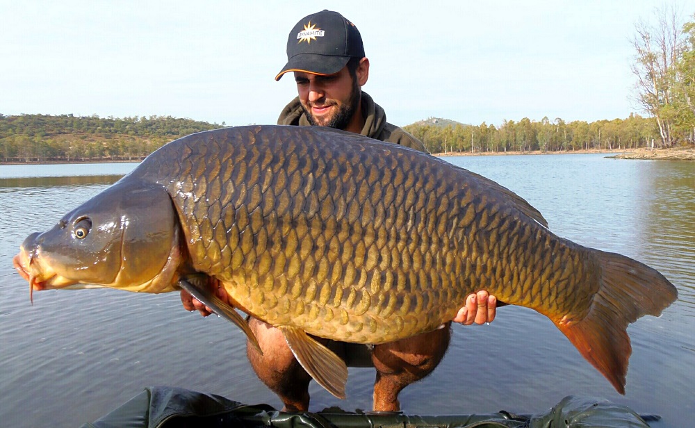 Hot Fish - A Proven European 'Big Fish' Catcher - Dynamite Baits Spain