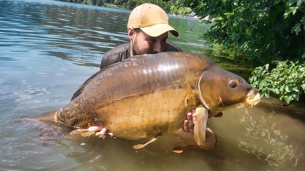 thomas santandrea 40lb slovenia carp on the source