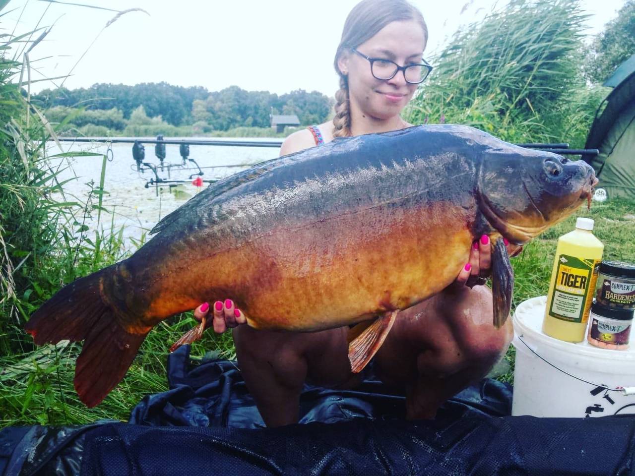 frenzied tiger nut caught polish carp