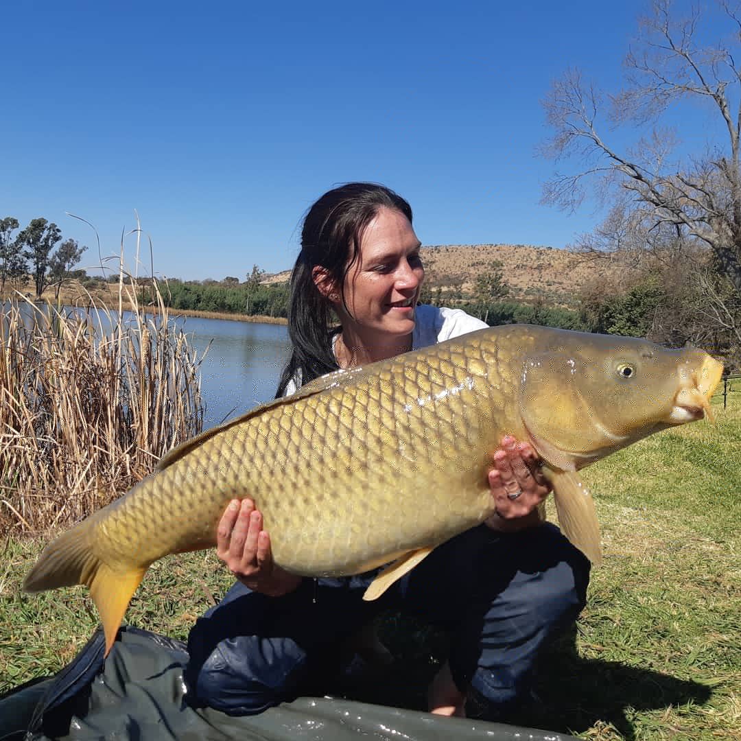 south africa carp fishing