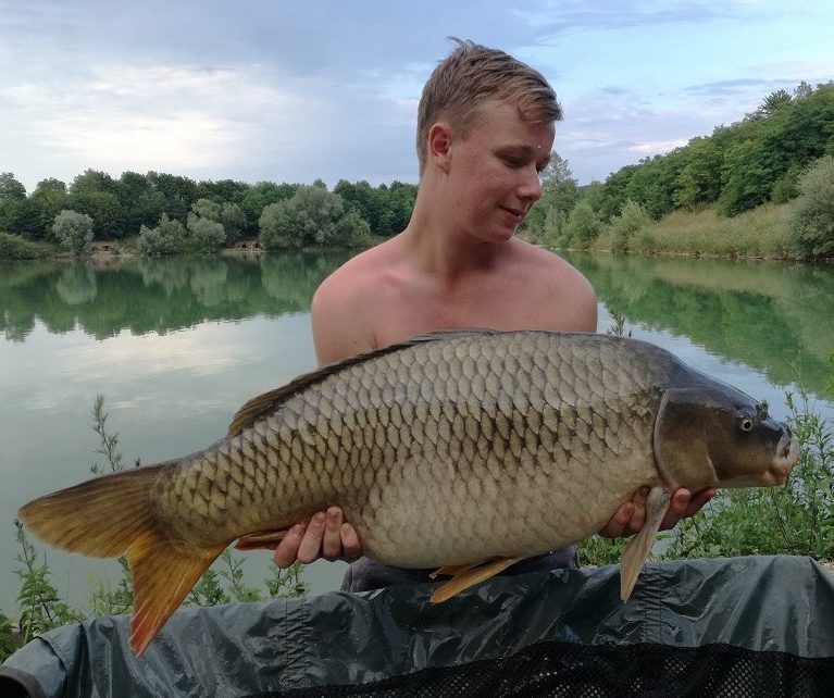 austria carp catch