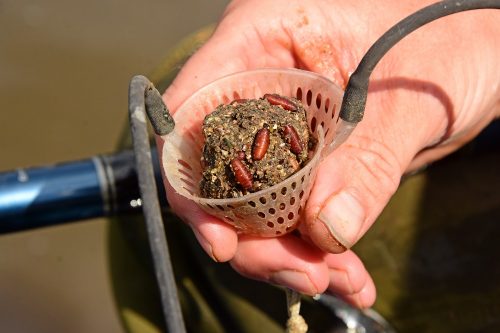 Rob feeds a small ball of caster