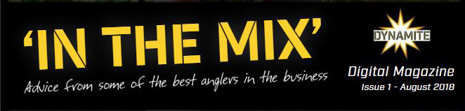 in the mix ezine banner