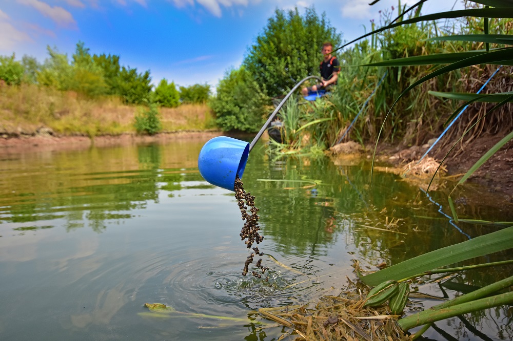 Fishing Hemp and corn