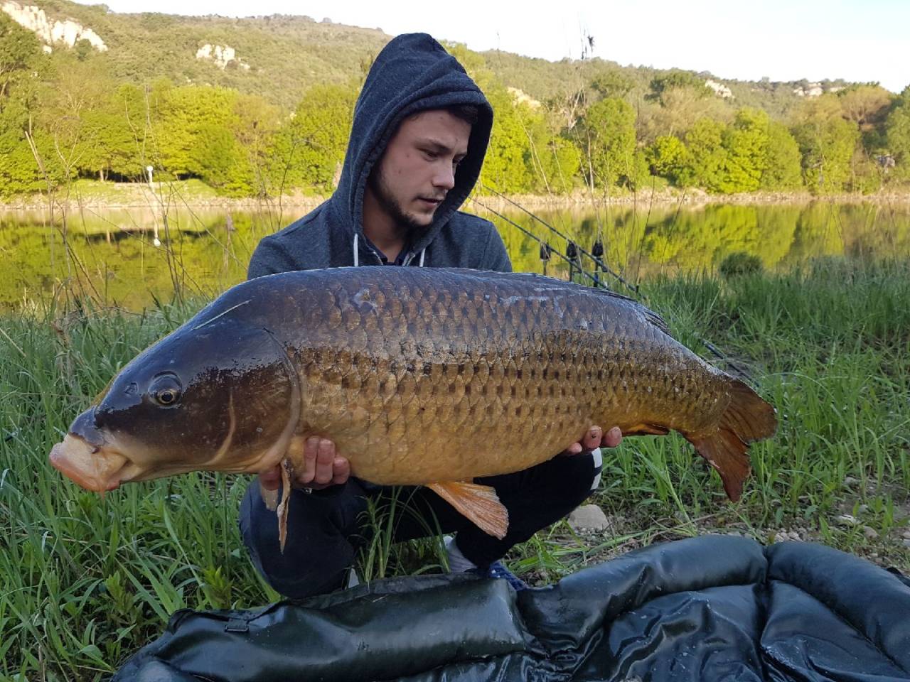 river carp fishing germany