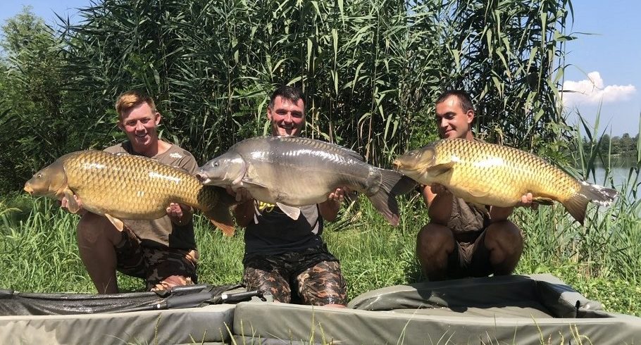 Croatia Carp 