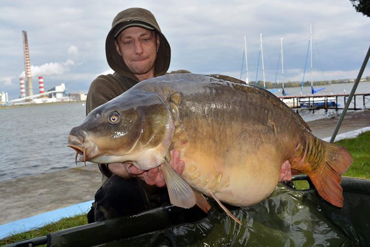 poland carp rybik lake complex-t boilies