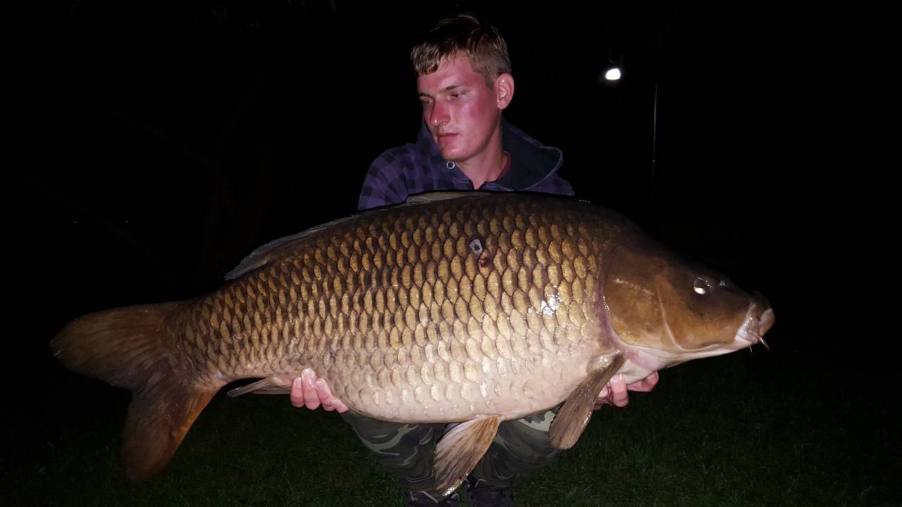 lake bled carp fishing common carp on robin red pellet