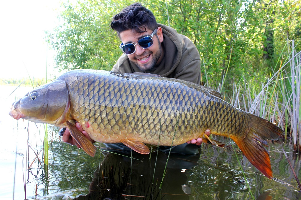 carlitos mateo carp fishing in spain with dynamite baits pop-up