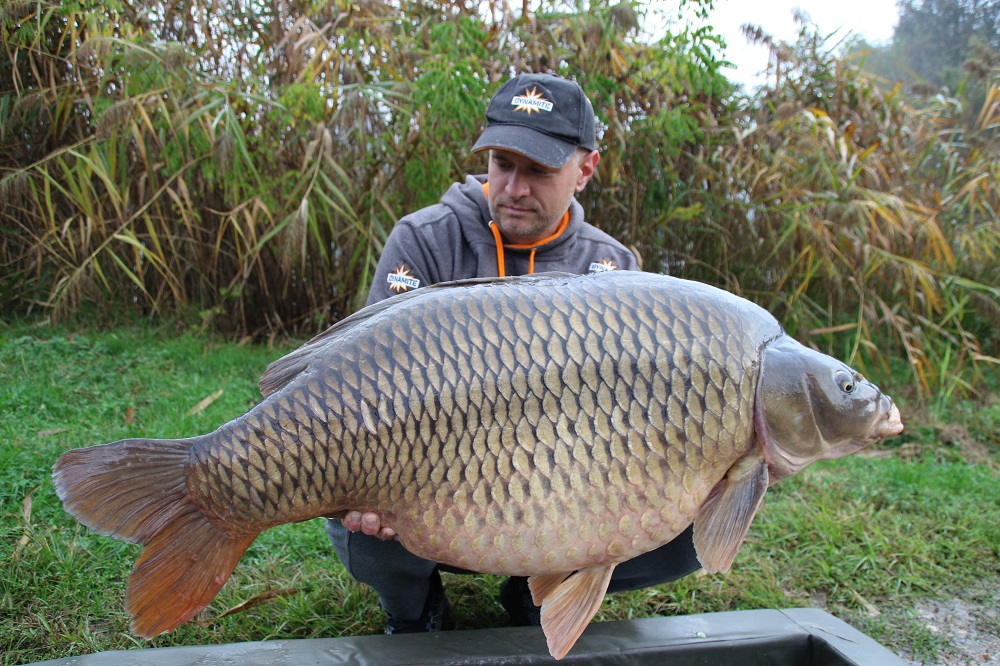 srecko red amo caught carp croatia carping trip