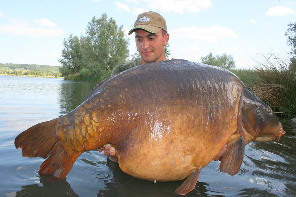 2015 France 38.6kg 85.1lb Monster Tiger Nut 20mm and 15mm pop-up