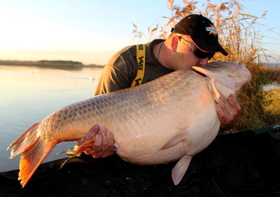 34,1 Kg Common caled Nina on the source carp fishing boilies