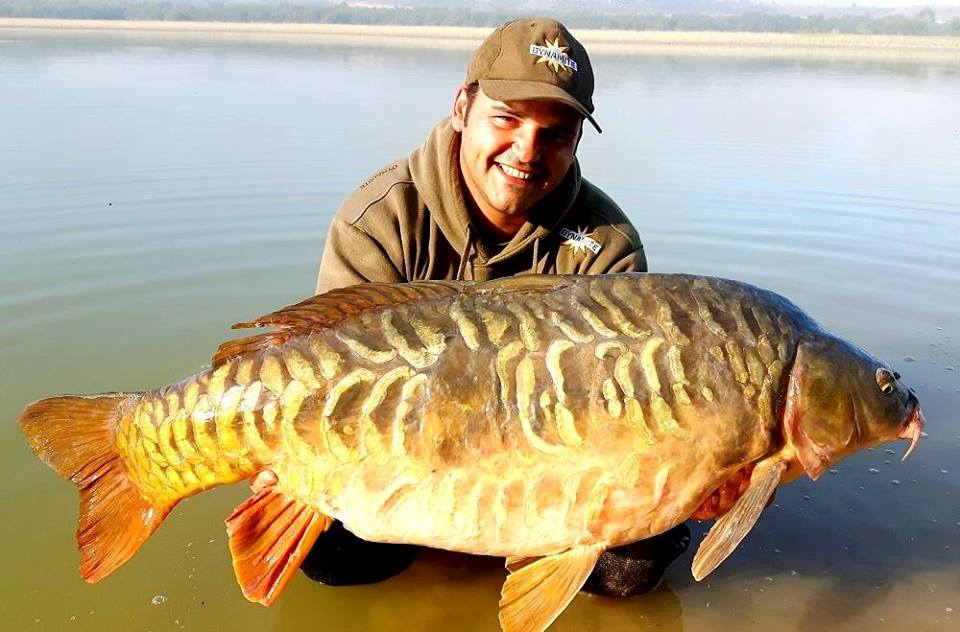 eduardo zancada river ebro carp on robin red boilie