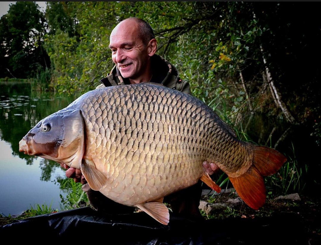 monster tiger nut boilie caught carp from the czech republic vlastimil kolacek