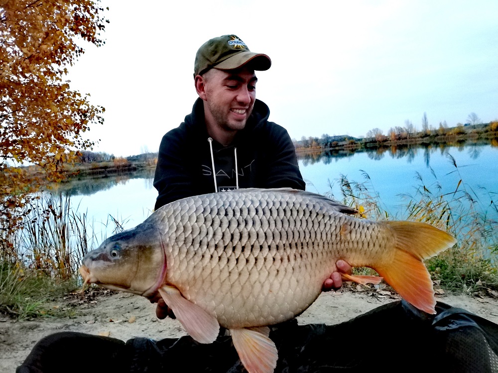  carp fishing complex-t boilies grigorij saakswilli