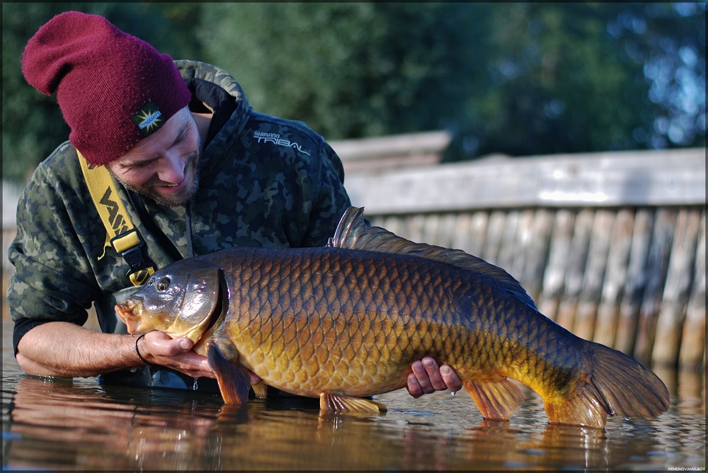 carp fishing in the netherlands with remond van dyke using The Crave