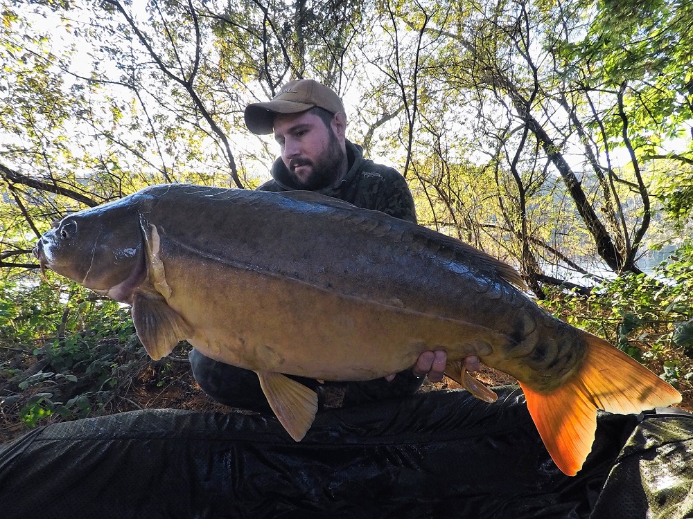 Carp fishing boilies off cuts & over runs mixed sizes and colour 1.9kg-25kg