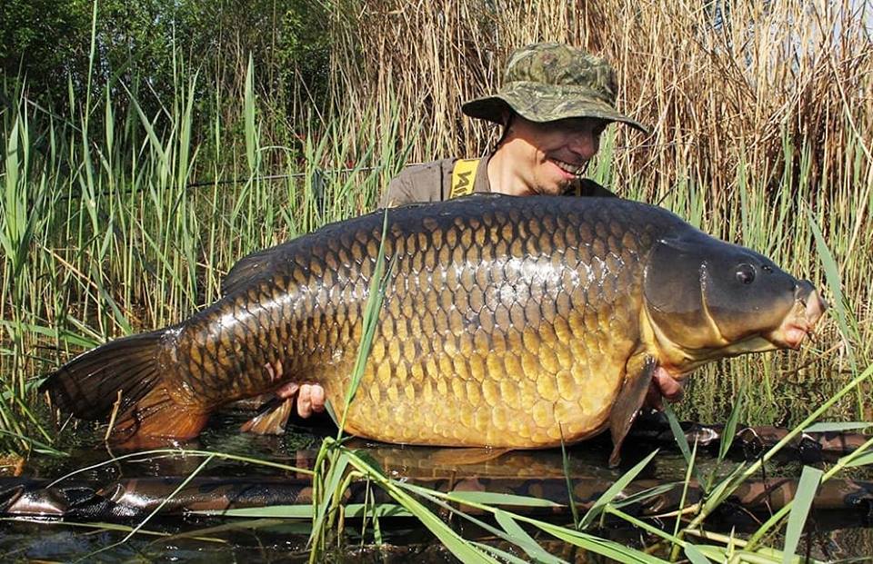 alex hager skeleton water carp